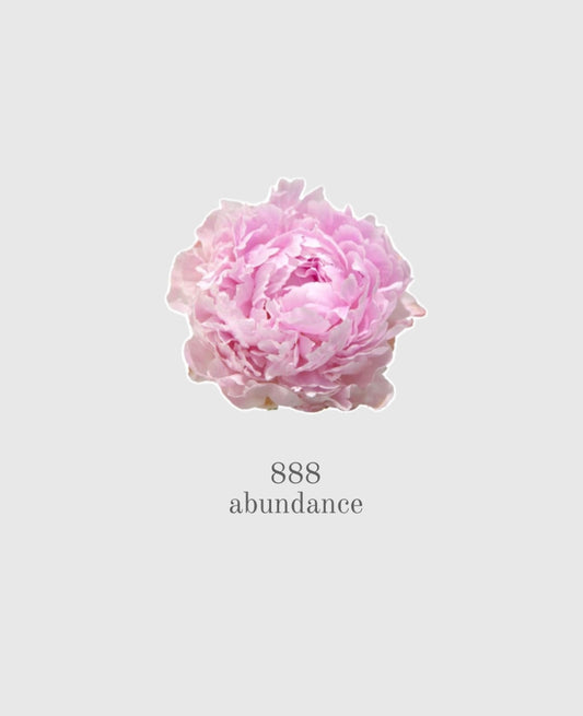 Sortilège d’Abondance Financière
